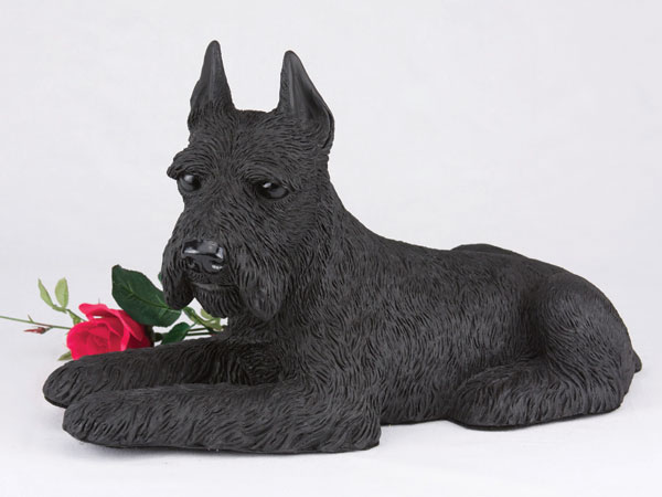 Black schnauzer urn with ears up