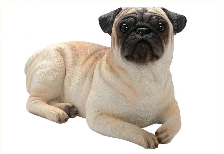 silver pugs pictures pin the silver pug peterson kendra pugs on silver pugs pictures pin the silver pug peterson kendra pugs on