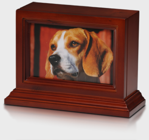 Wood urn for pet with place for picture
