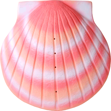 coral sea shell urn