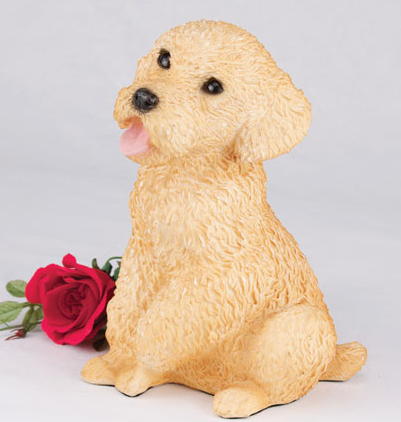  Miniature Apricot poodle cremation urn