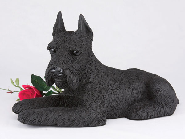  Schnauzer figurine urn , Ears Up, Black