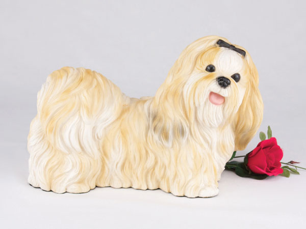 Gold and white  Shih Tzu dog urn