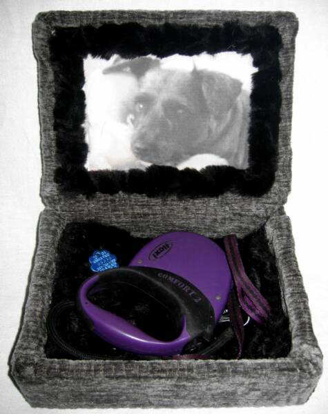 pet keepsake box shown open