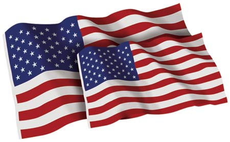 picture of the American flag