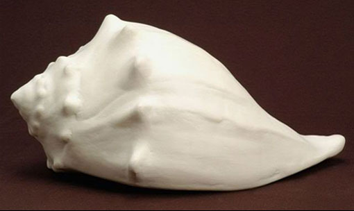  whelk sea shell cremation  urn