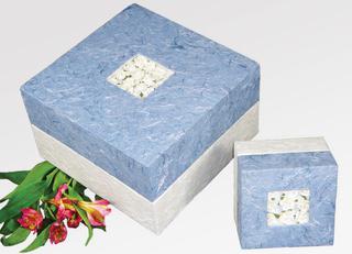 blue box biodegradable urn