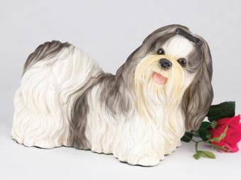 Black and white  Shih Tzu dog urn