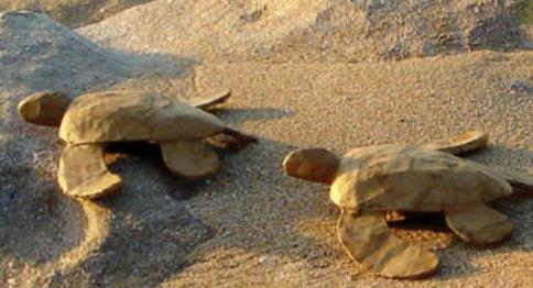 biodegradeable turtle urns