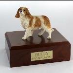 King Charles Spaniel