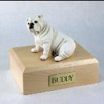 Bulldog, White