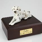 Dalmation