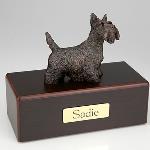 DOG - Scottish Terrier.